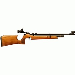 Air Arms S200 Target