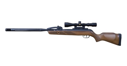 Gamon gamo-varmint-swarm-418x219w.jpg