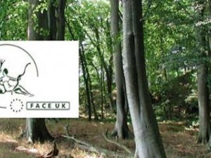 FACE UK Campaign – The Firearms Directive