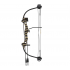 Barnett Tomcat MO Bow kit
