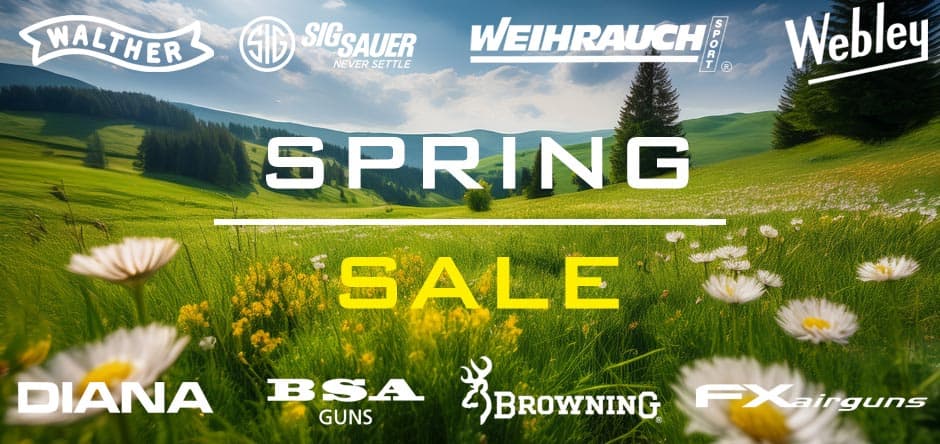 Spring into Action