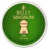 Bisley Magnum .22