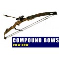 Compound Bows