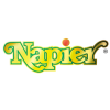 Napier