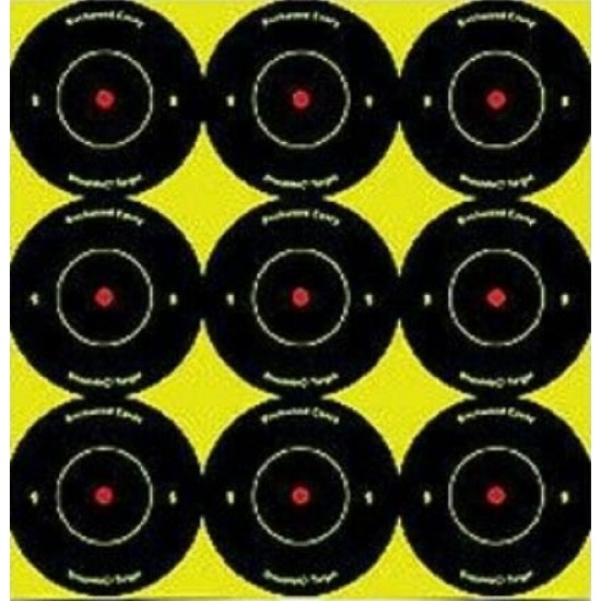 Birchwood Casey Shoot-N-C 2 inch Targets 