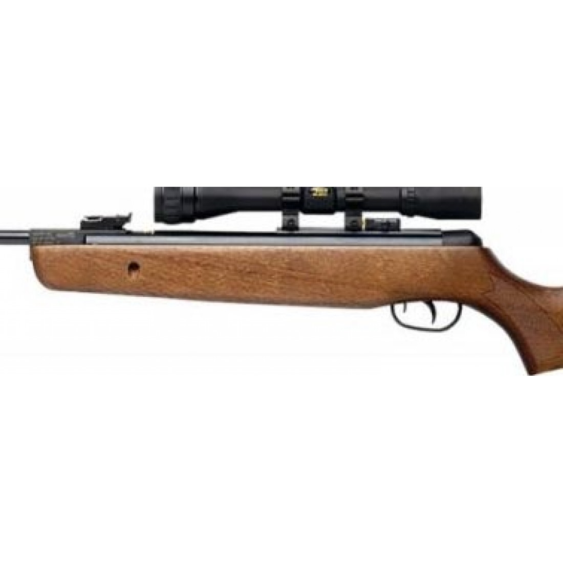 Gamo Hunter 440 delivered by DAI Leisure