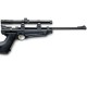 Crosman 2250 Ratcatcher