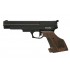 Gamo Compact .177 Left Handed