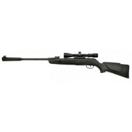 Gamo Whisper Sting With Scope Gamo Whisper Sting With Scope