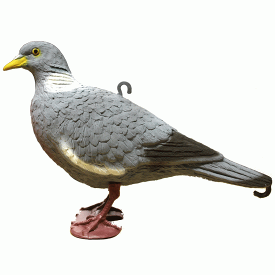 Sport Plast Full Bodied Pigeon Sport Plast Full Bodied Pigeon