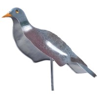 Sport Plast Battant Pigeon