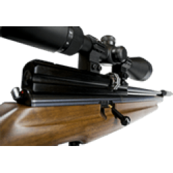 Webley Raider 10 XS Webley Raider 10 XS