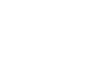 CCI Standard Vs. ELEY Contact